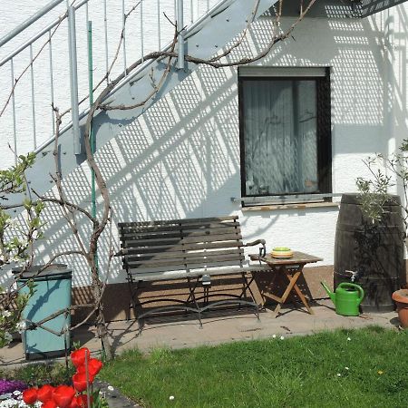 Apartement Am Kirschbaum Mommenheim Exterior photo